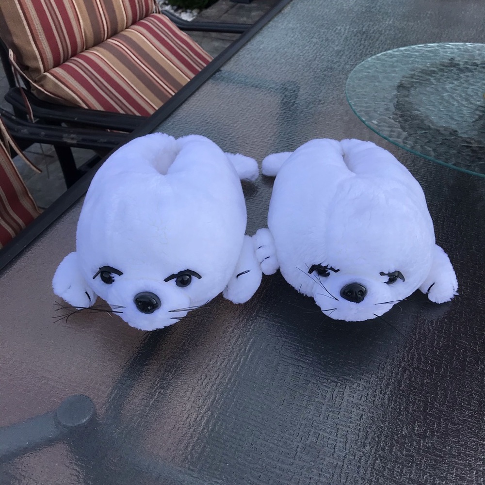 Slippers